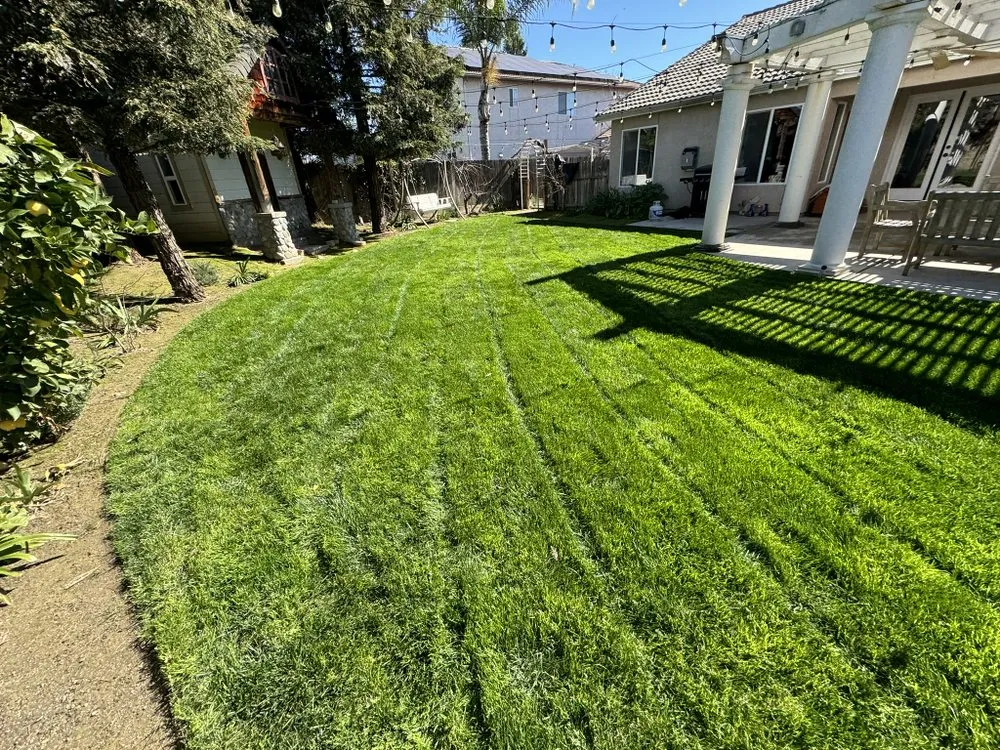 Local residential landscaping in Visalia, CA - Flores Landscaping