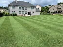 Trusted lawn care service in Waukegan, IL by Flores Landscaping