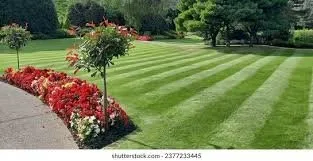 Custom garden landscaping near you across Waukegan, IL - Flores Landscaping