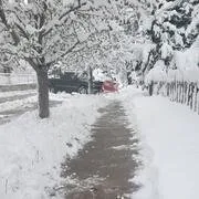 Top-rated lawn care service experts serving Longmont, CO - Flores Landviews