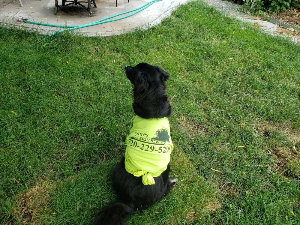 Custom yard maintenance experts serving Longmont, CO - Flores Landviews