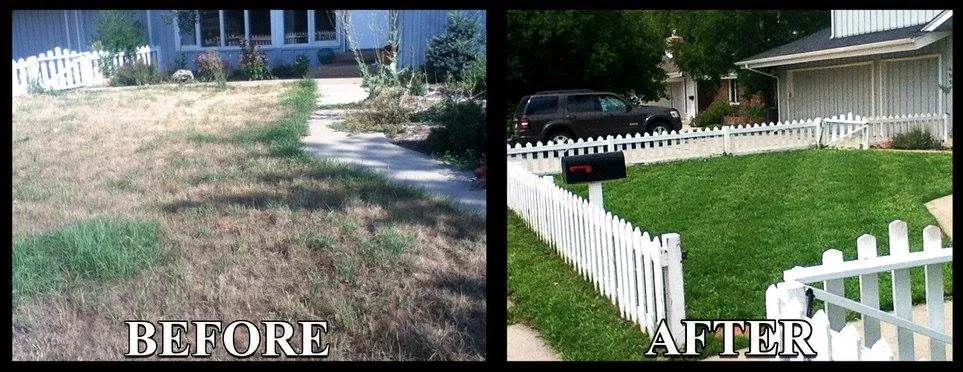 Local residential landscaping in Longmont, CO by Flores Landviews