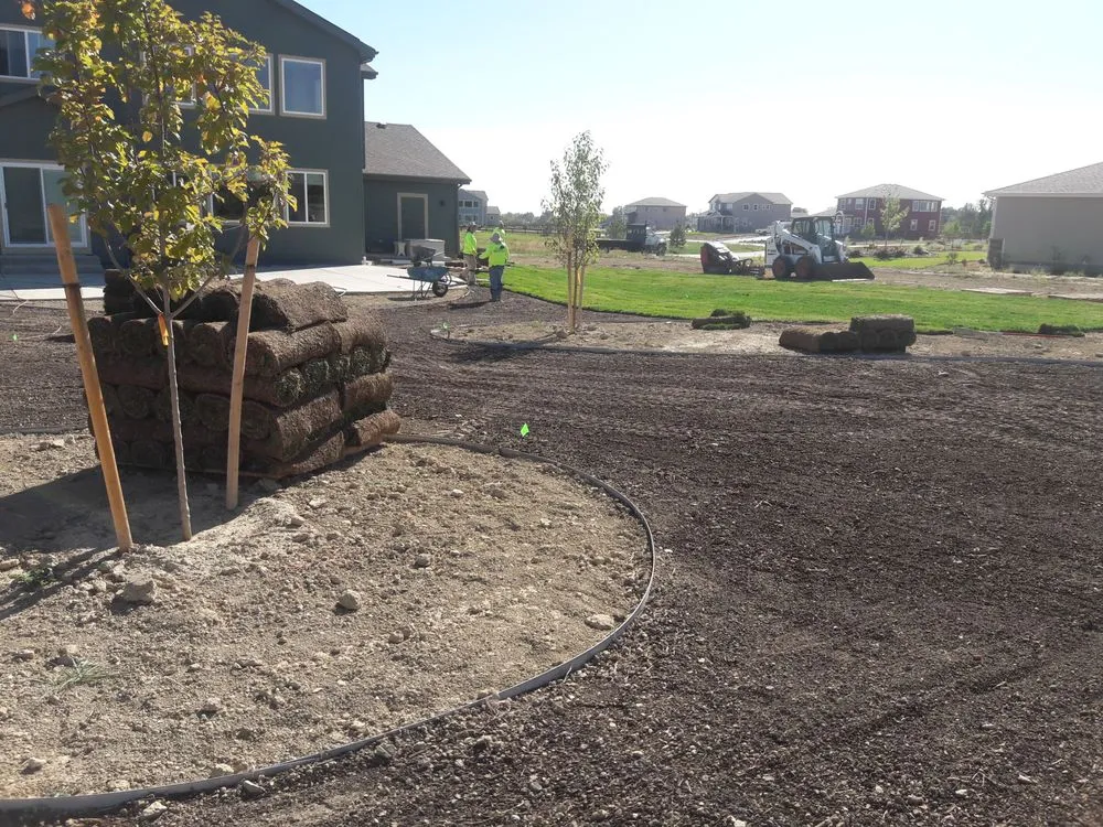 Affordable yard cleanup service experts serving Longmont, CO - Flores Landviews