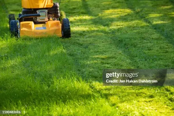 Trusted lawn care service near you in Paulsboro, NJ by Flores lansdcaping