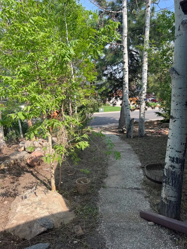 Top-rated residential landscaping with custom design in Greeley, CO by Flores lawn and landscaping services