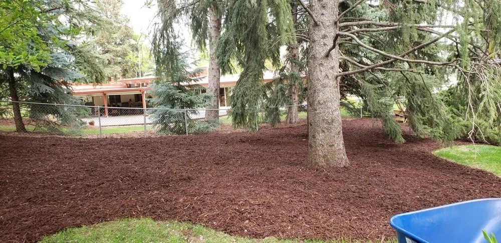 Top-rated lawn mowing service in Greeley, CO - Flores lawn and landscaping services