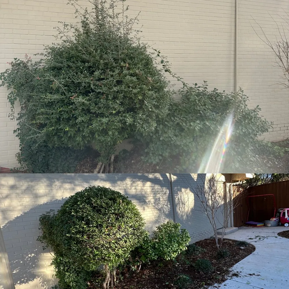 Reliable lawn mowing service in Lubbock, TX - Flores Lawn Care