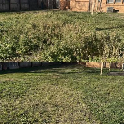 Flores Lawn Care Logo