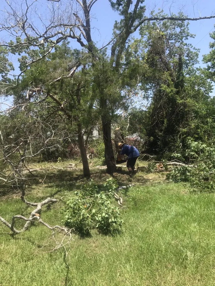 Local yard maintenance for outdoor upgrades in OLD RVR-WNFRE, TX by Flores Lawn Care