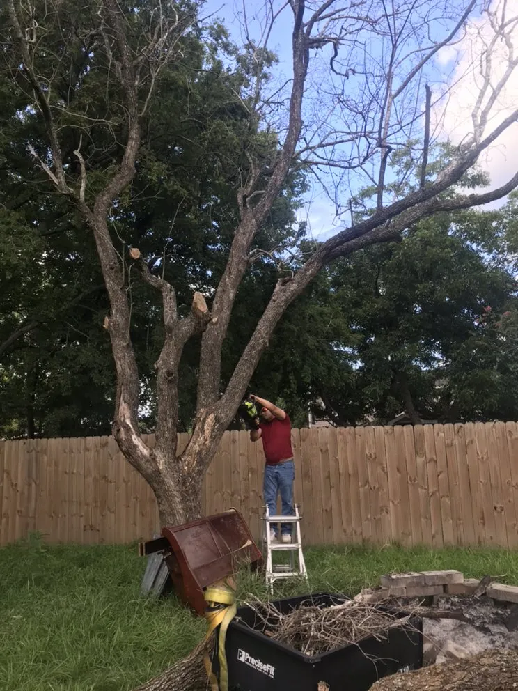 Professional residential landscaping in OLD RVR-WNFRE, TX by Flores Lawn Care