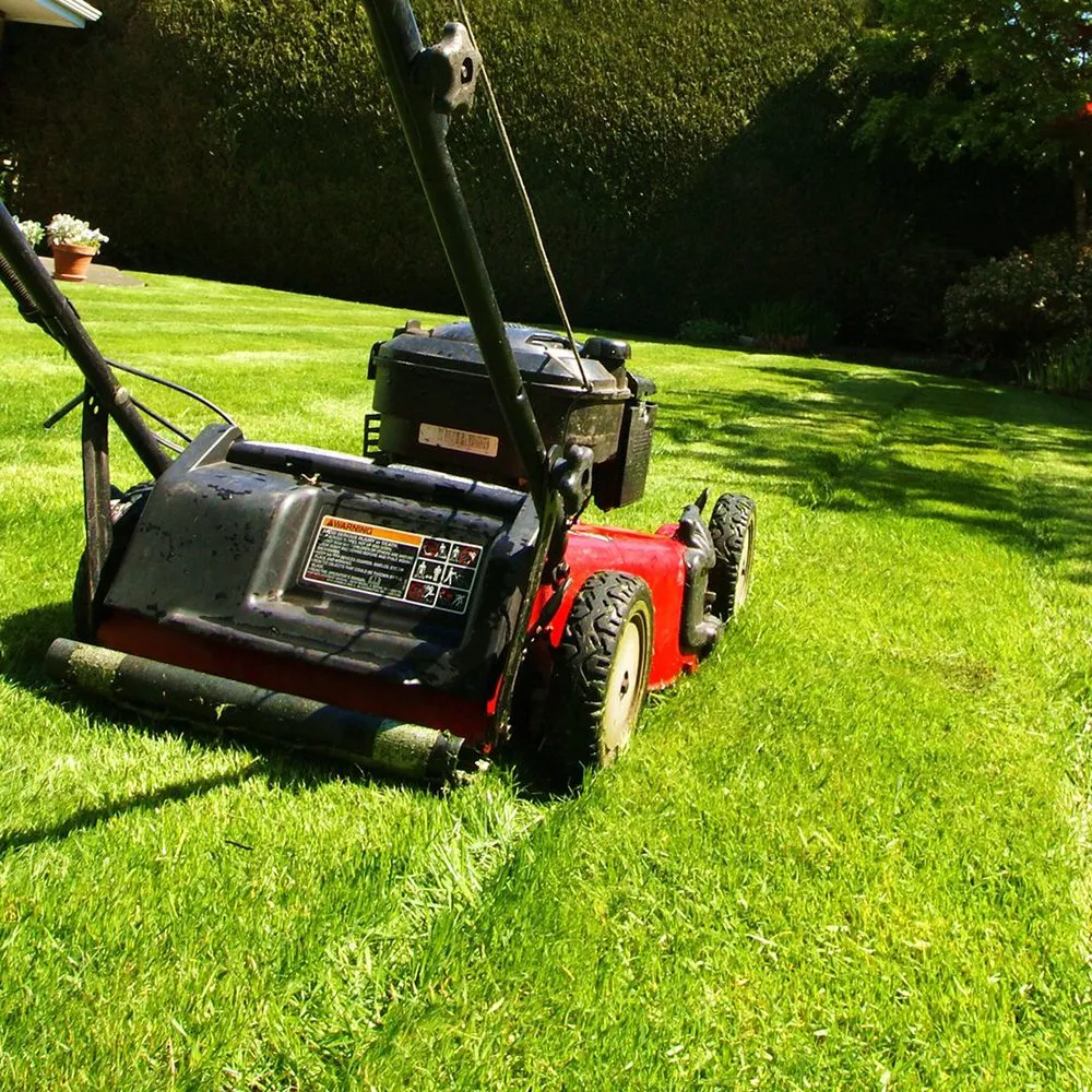 Affordable residential landscaping in OLD RVR-WNFRE, TX by Flores Lawn Care
