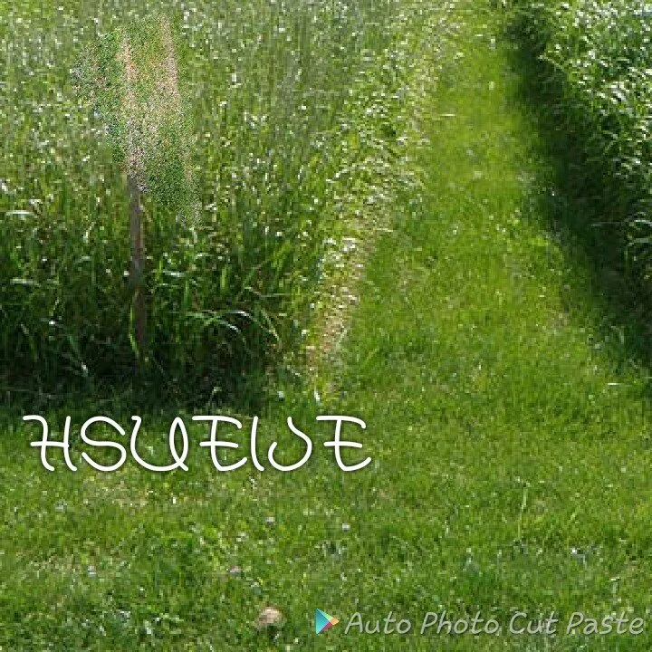 Professional lawn mowing service in Lancaster, CA by Flores Lawn