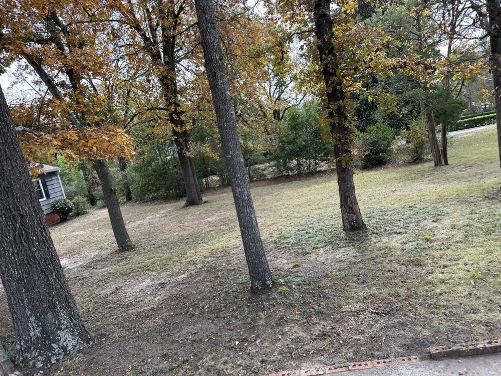 Trusted outdoor landscaping in Augusta, GA - Flores Lawn Maintenance