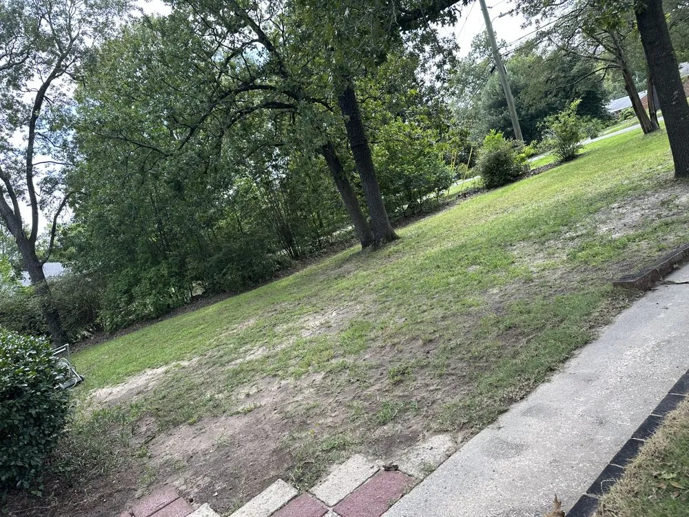 Expert lawn mowing service in Augusta, GA by Flores Lawn Maintenance