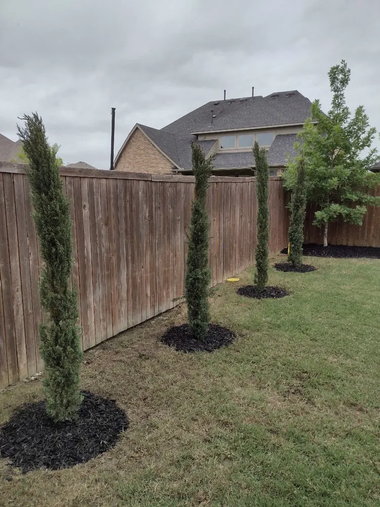 Custom lawn care service for outdoor upgrades in Augusta, GA by Flores Lawn Maintenance