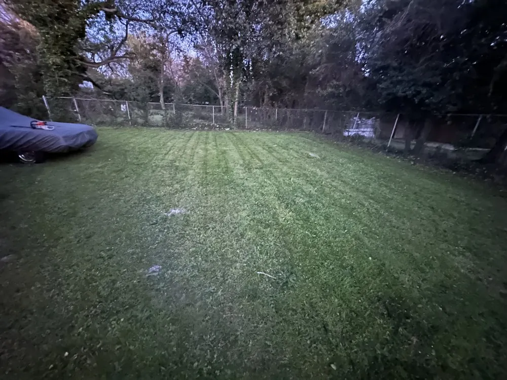 Top-rated landscaping services experts serving Augusta, GA - Flores Lawn Maintenance