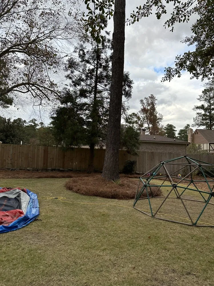 Affordable landscaping services near you in Augusta, GA by Flores Lawn Maintenance