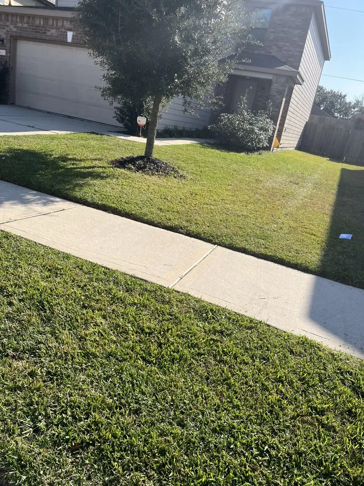 Local landscape installation for outdoor upgrades across Houston, TX - Flores Lawn Service
