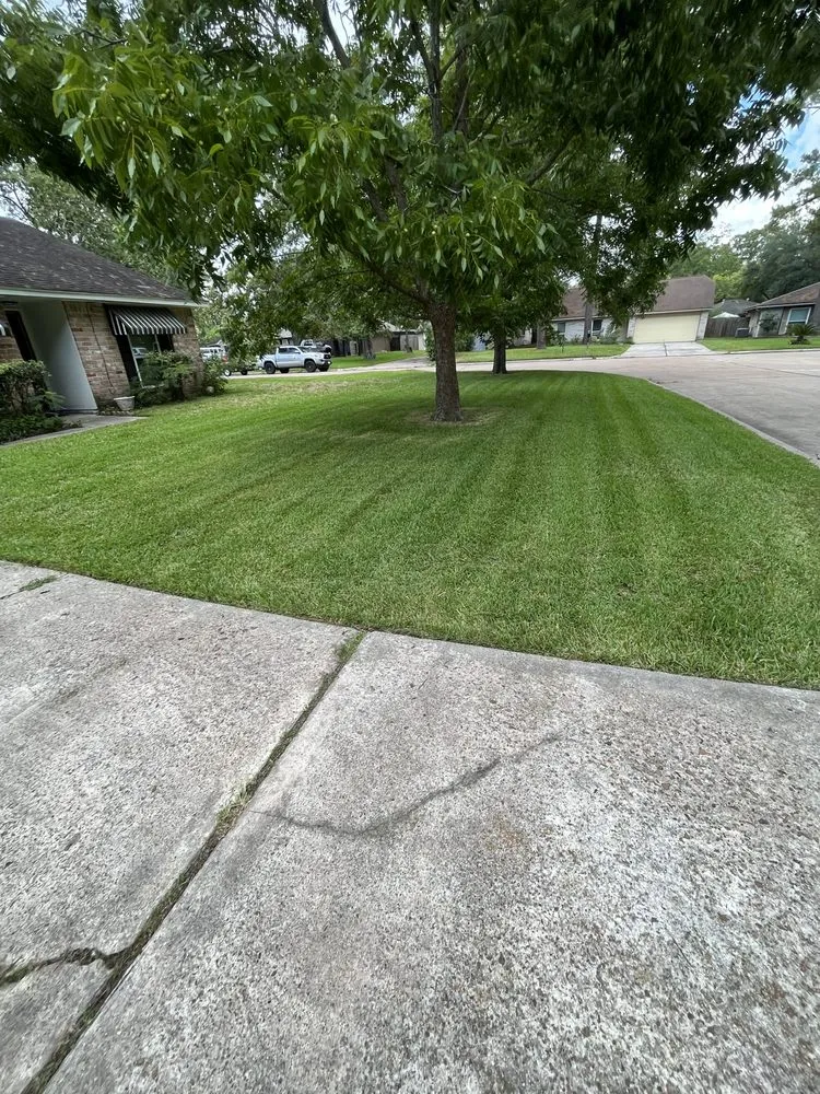 Top-rated landscaping services for outdoor upgrades in Houston, TX by Flores Lawn Service