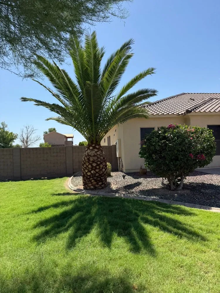 Reliable garden landscaping for beautiful yards in El Mirage, AZ by Flores Lawncare and Home Solution Services