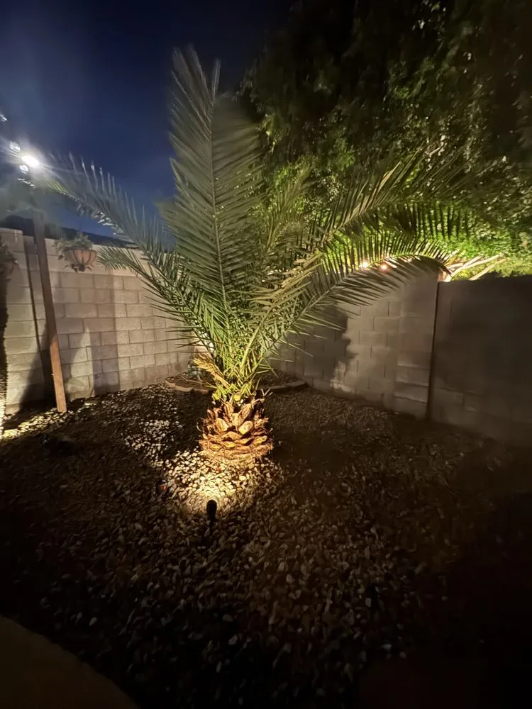 Affordable landscaping services for year-round maintenance across El Mirage, AZ - Flores Lawncare and Home Solution Services