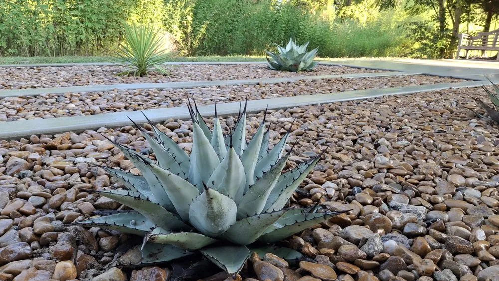 Custom landscape design with custom design in Midlothian, TX by Flores lhs