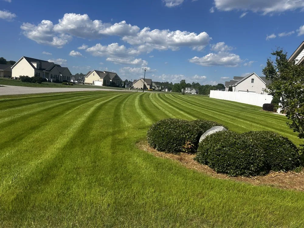 Affordable yard cleanup service for year-round maintenance across Rocky Mount, NC - Flores Outdoor Solutions