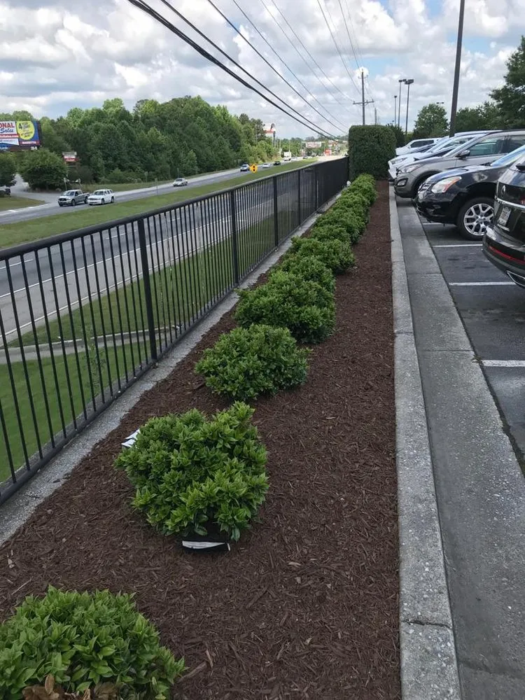 Expert yard cleanup service experts serving Marietta, GA - Flores Pinestraw & Mulch