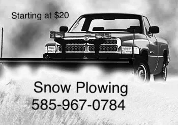 Affordable yard cleanup service experts serving Hilton, NY - Flores Sealcoating