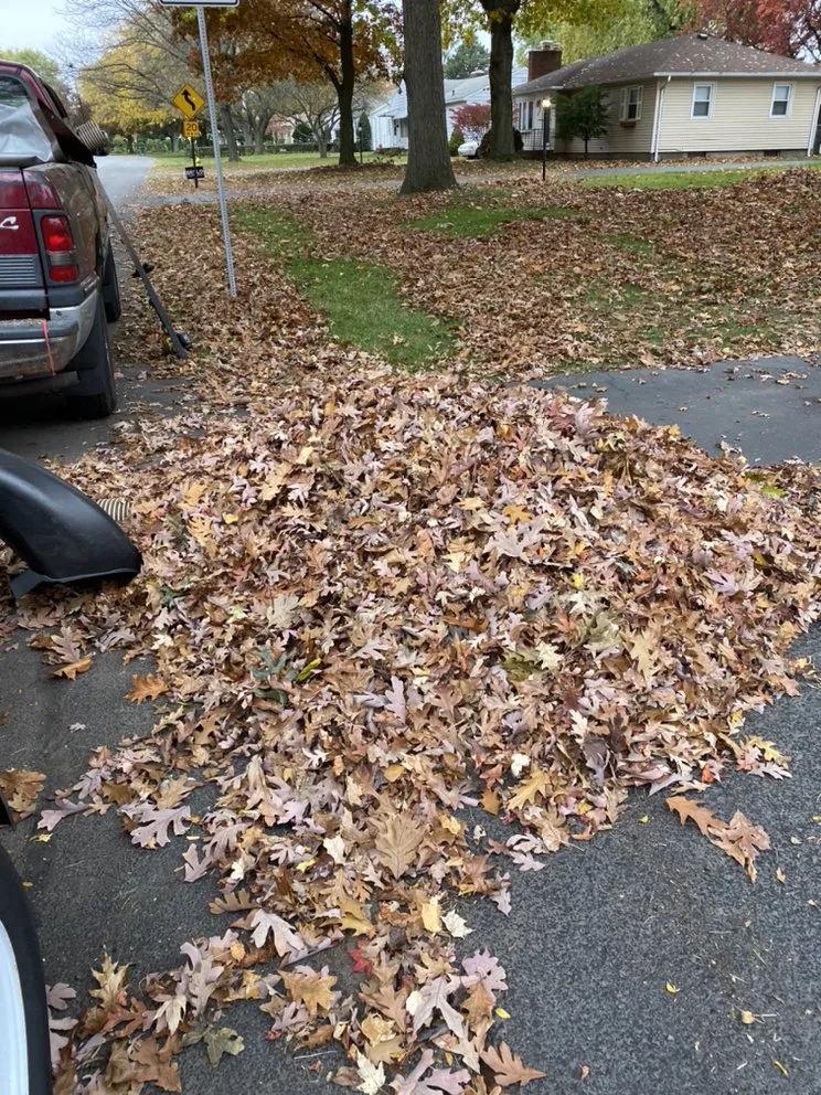 Top-rated landscaping services experts serving Hilton, NY - Flores Sealcoating