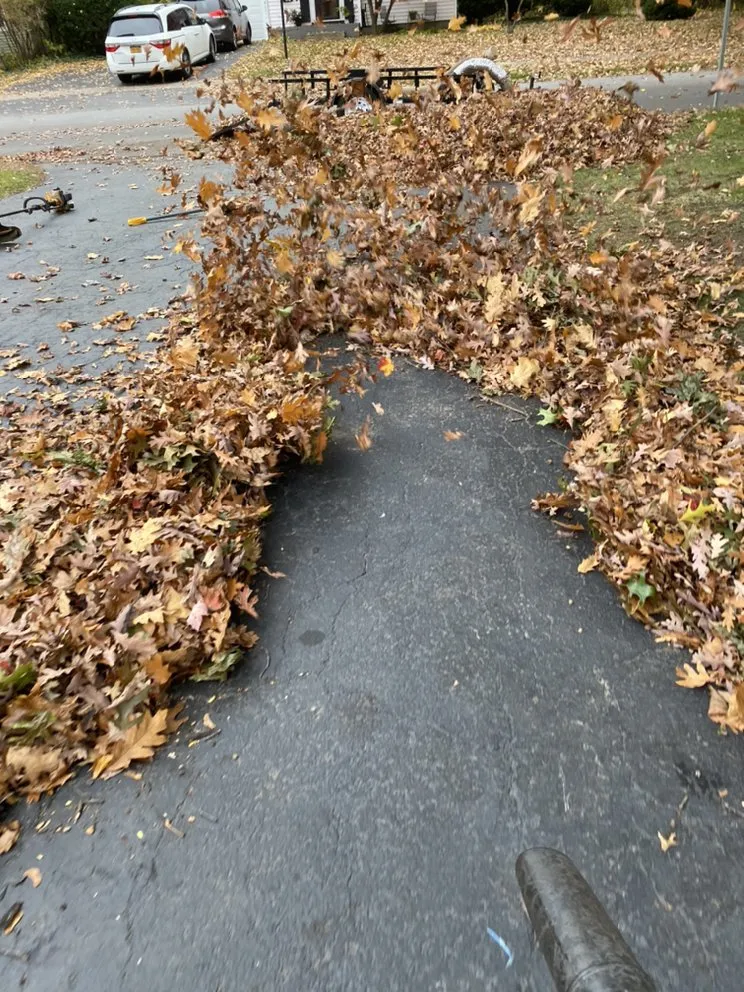 Affordable residential landscaping experts serving Hilton, NY - Flores Sealcoating