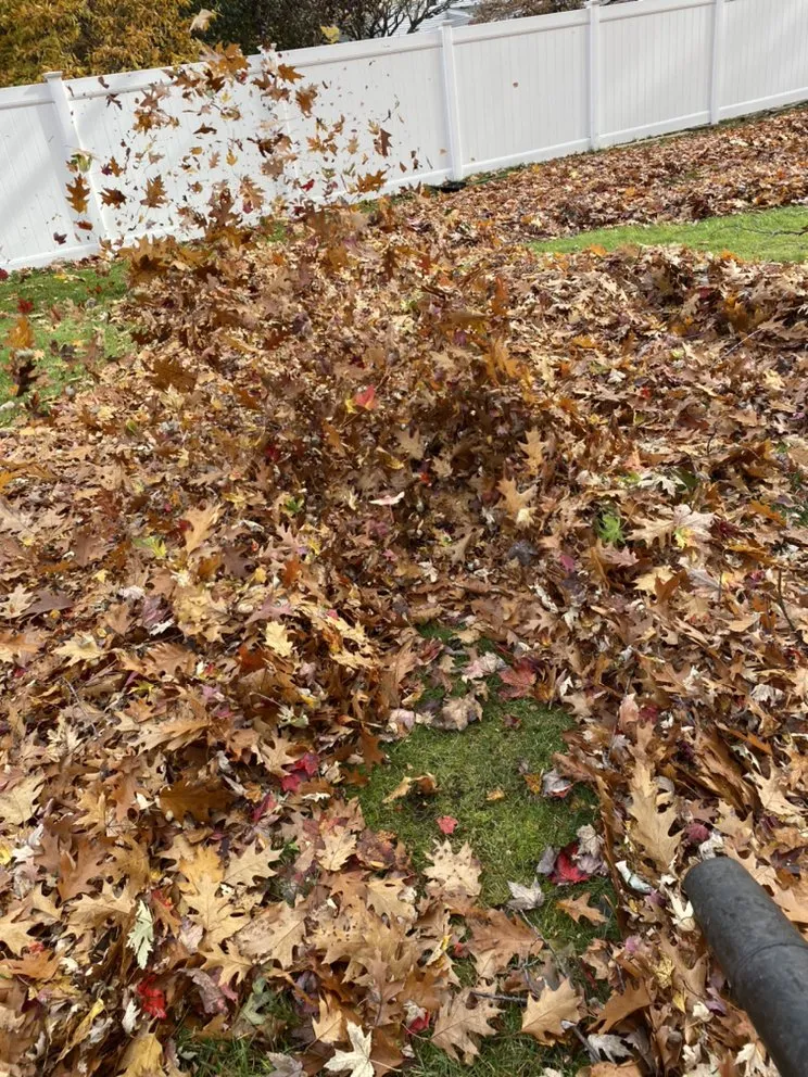 Reliable yard maintenance for residential properties across Hilton, NY - Flores Sealcoating