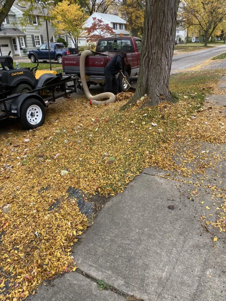 Expert lawn care service in Hilton, NY by Flores Sealcoating