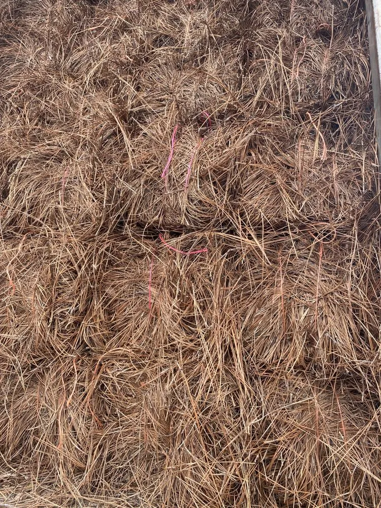 Top-rated residential landscaping with custom design across Smyrna, GA - Flores Strawing