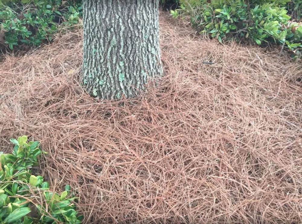 Expert residential landscaping experts serving Smyrna, GA - Flores Strawing