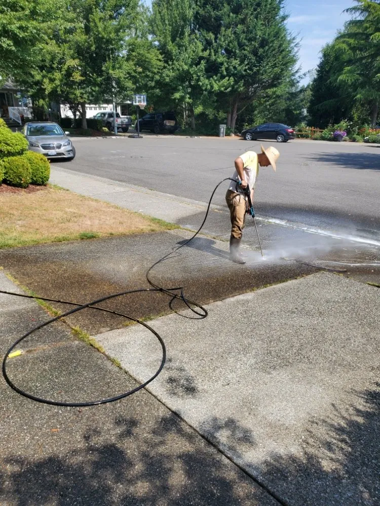 Reliable landscaping services for beautiful yards across Mill Creek, WA - Flores Total Home Services