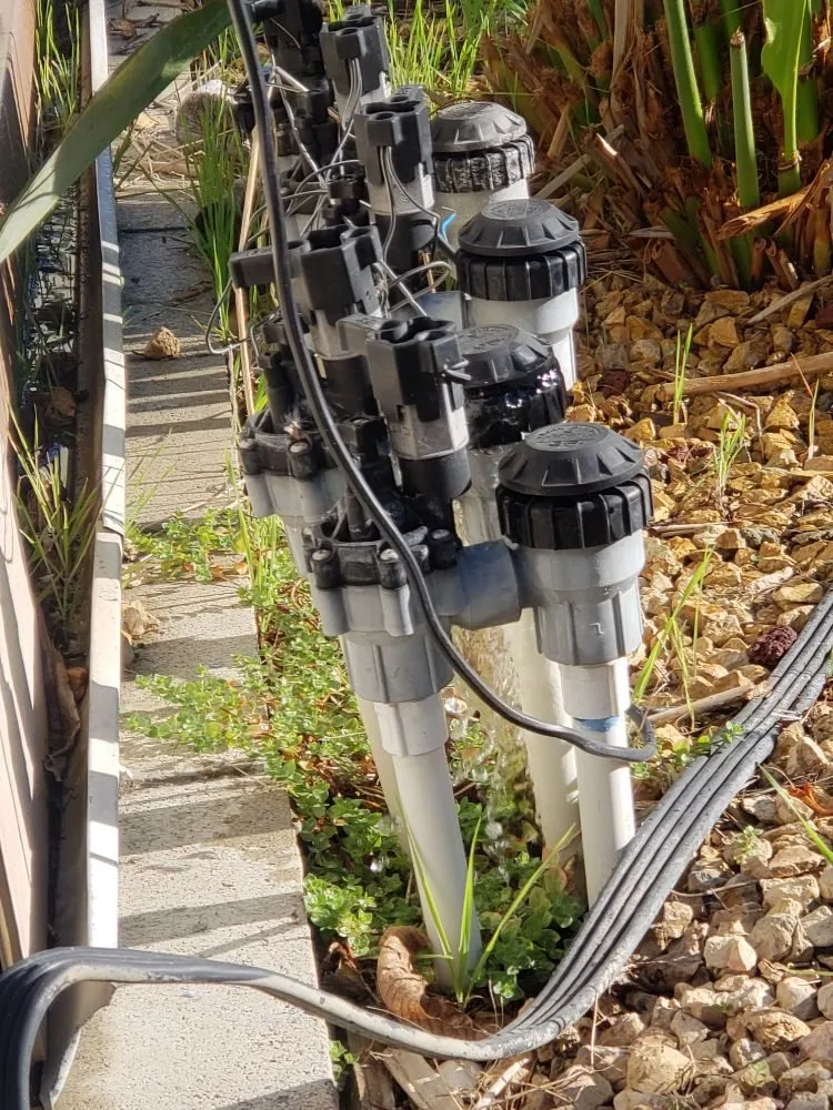 Expert outdoor landscaping experts serving Vista, CA - Flores Tree Service & Landscape