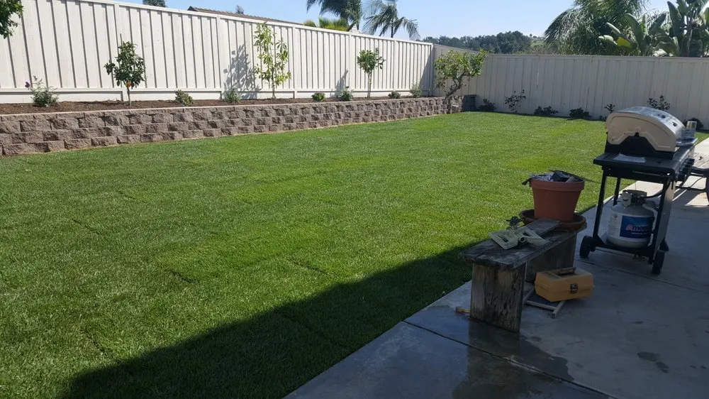 Custom outdoor landscaping in Vista, CA by Flores Tree Service & Landscape
