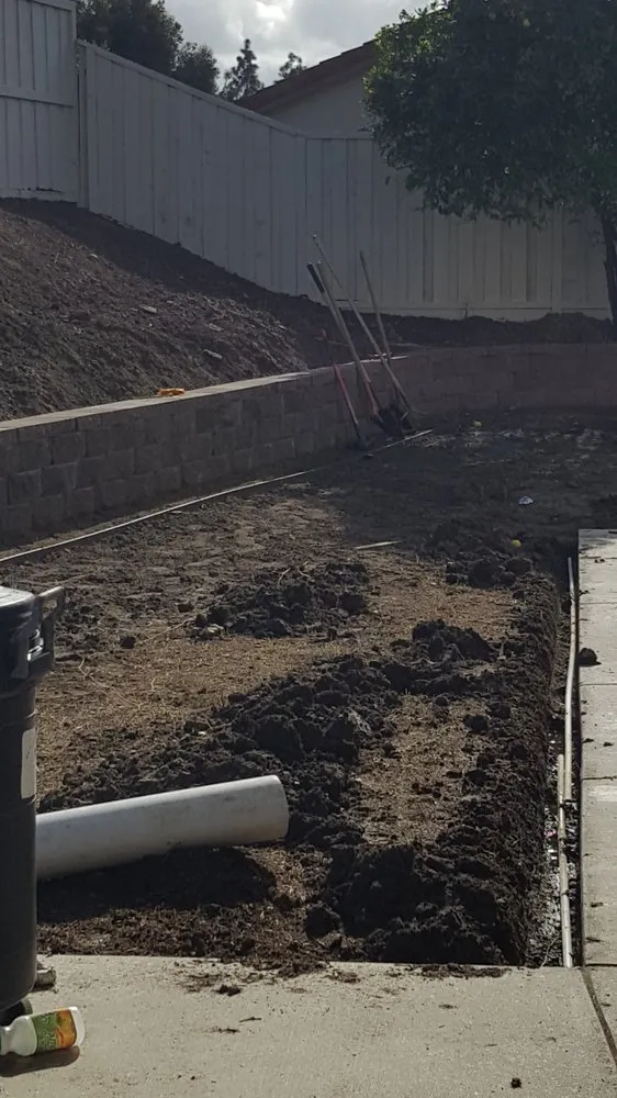 Reliable outdoor landscaping for year-round maintenance across Vista, CA - Flores Tree Service & Landscape