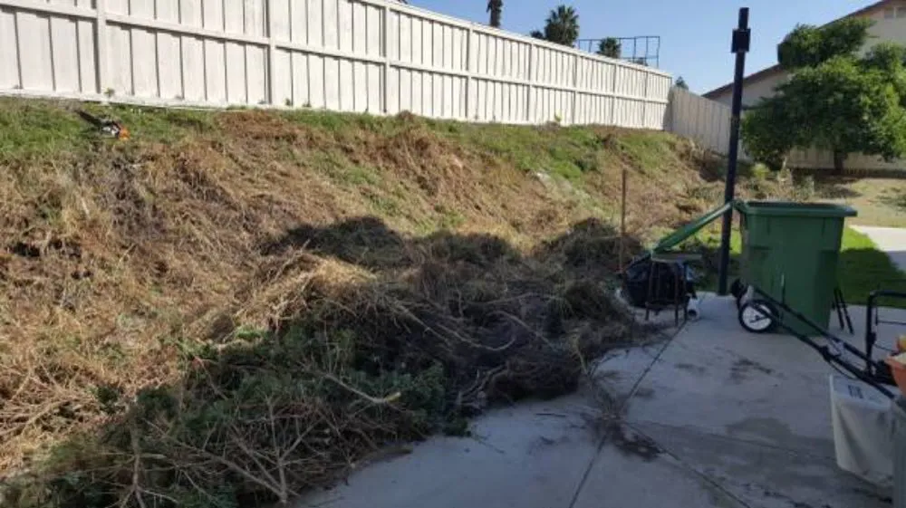 Expert yard maintenance in Vista, CA - Flores Tree Service & Landscape