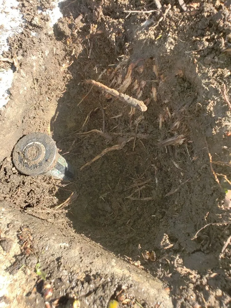 Top-rated landscape design in Vista, CA - Flores Tree Service & Landscape