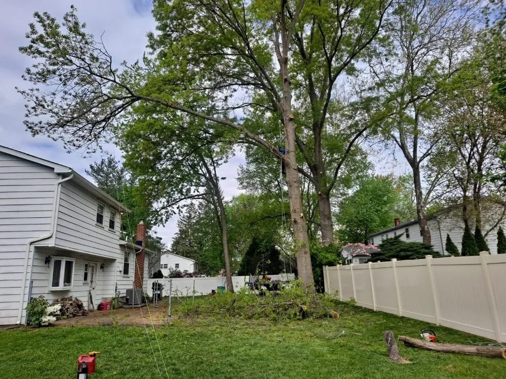 Custom garden landscaping experts serving Riverside, NJ - Flores Tree Service and Landscaping