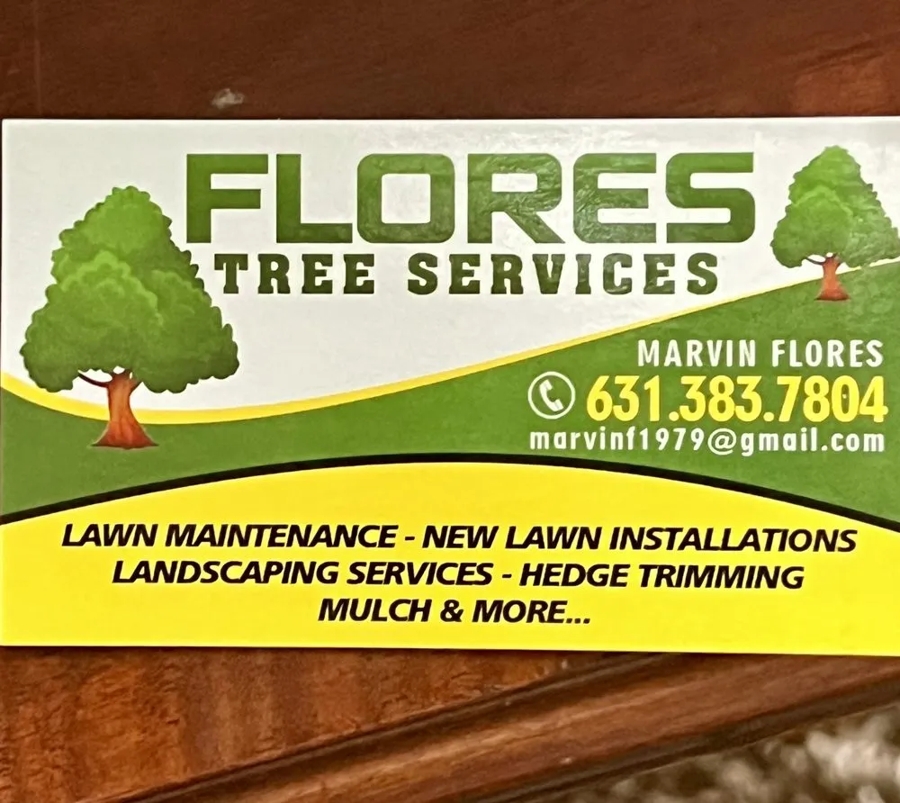 Expert yard cleanup service for outdoor upgrades in Charlotte, NC by Flores Tree Service