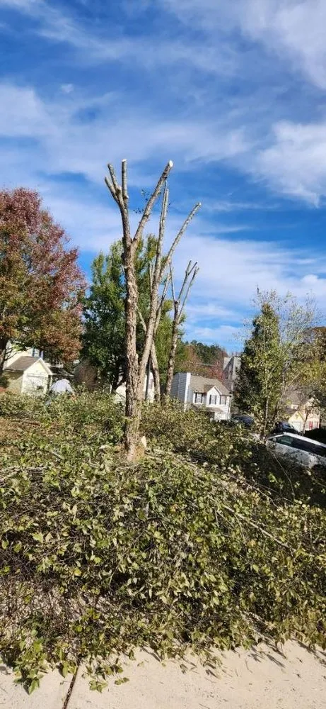 Local landscape installation with custom design across Charlotte, NC - Flores Tree Service