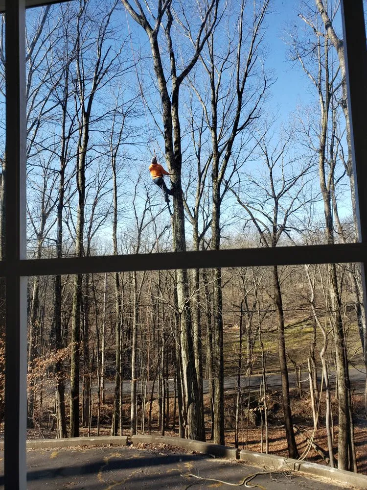 Local yard cleanup service in Warminster, PA by Flores Tree Services & Landscaping