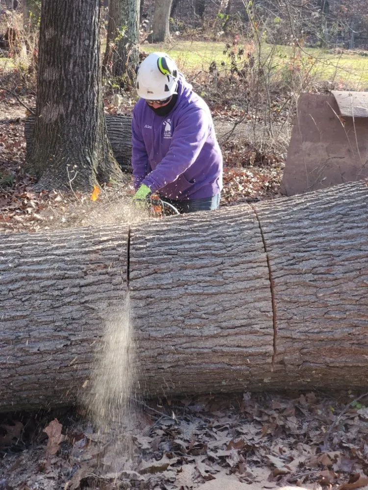 Affordable yard maintenance near you in Warminster, PA by Flores Tree Services & Landscaping