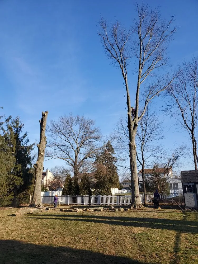 Local lawn mowing service for homes in Warminster, PA by Flores Tree Services & Landscaping