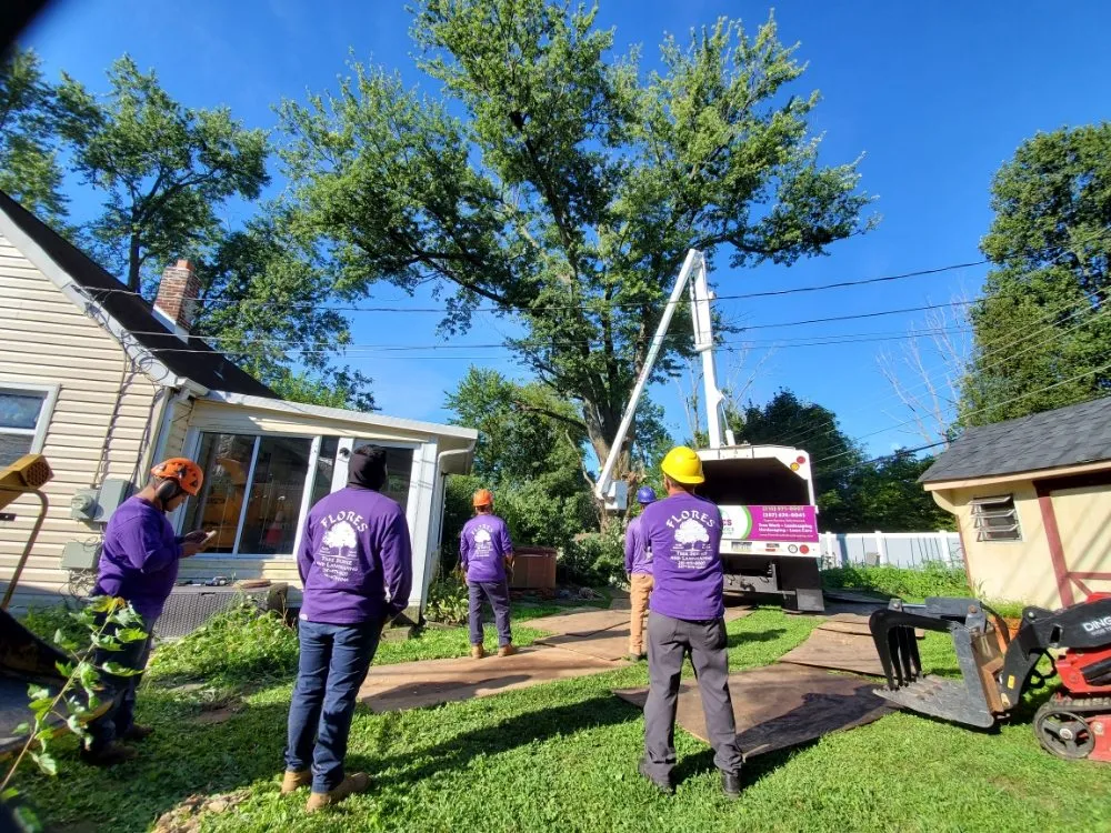 Professional lawn mowing service with custom design in Warminster, PA by Flores Tree Services & Landscaping