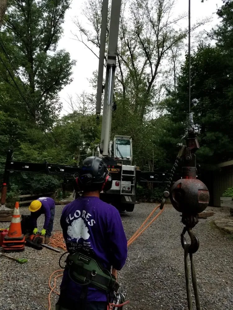 Professional lawn care service in Warminster, PA by Flores Tree Services & Landscaping