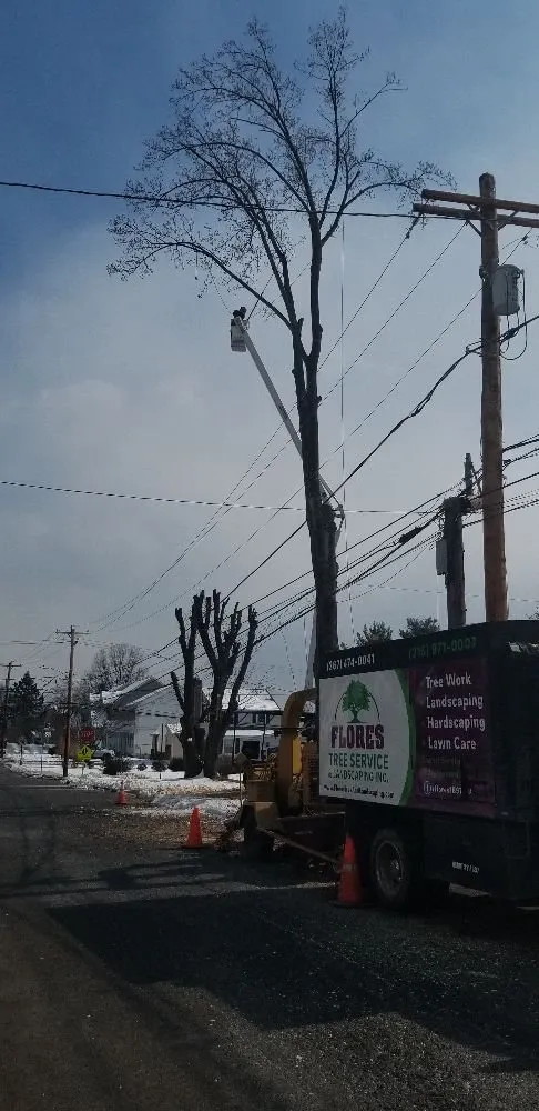 Affordable landscape installation experts serving Warminster, PA - Flores Tree Services & Landscaping